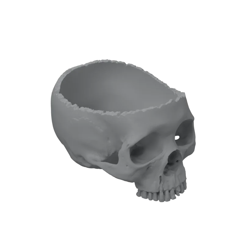Skull candy bowl, 3D-printed by make by arzisoft